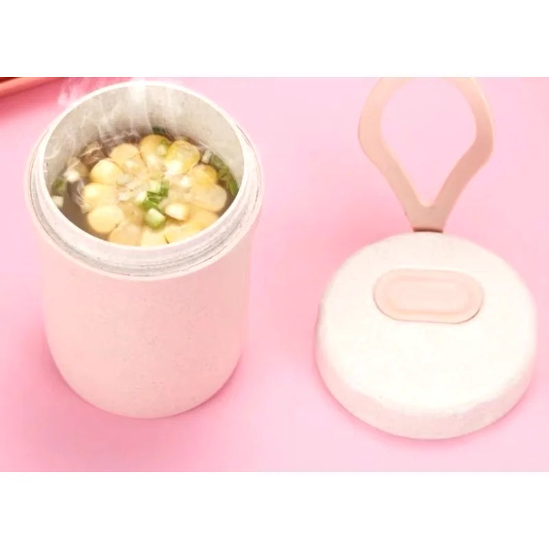 Boîte à Lunch/Dîner pour Micro-Ondes